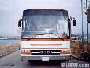校車服務(wù)與多元用車解決方案 從專營廠車到婚禮花車的一站式服務(wù)